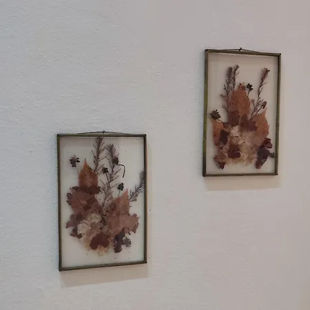 Park House -beside The Medieval Town Of Rhodes-free Parking Апартаменты Родос