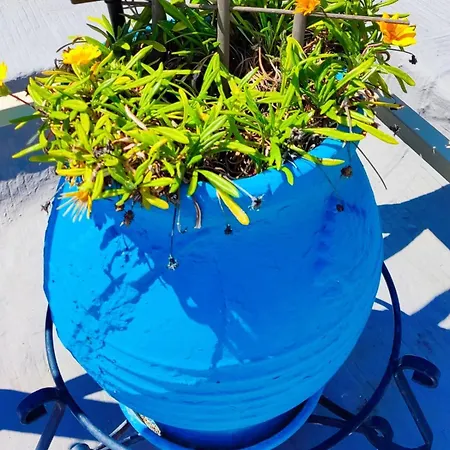 Apartman Park House -beside The Medieval Town Of Rhodes-free Parking Rhodes City