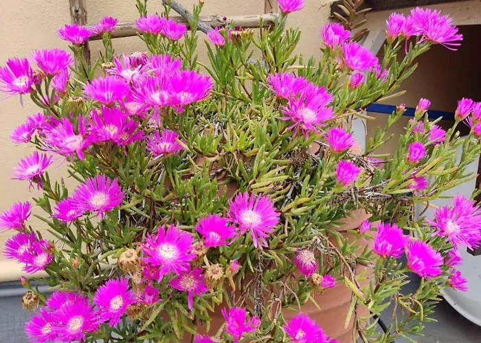 Park House -beside The Medieval Town Of Rhodes-free Parking Apartment *