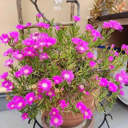 Park House -beside The Medieval Town Of Rhodes-free Parking Apartamento *