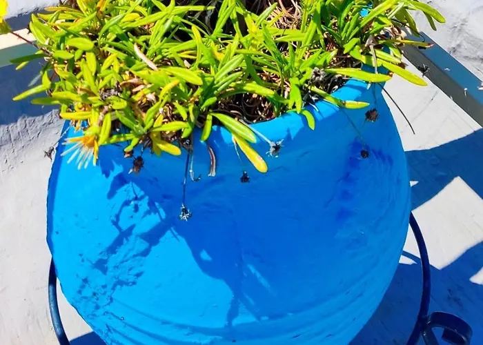 Apartmán Park House -beside The Medieval Town Of Rhodes-free Parking Rhodes City